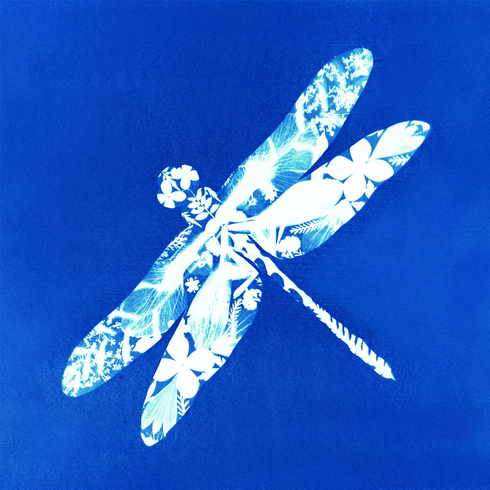 EmilyArnoldFineArt 03 Belper AT 26